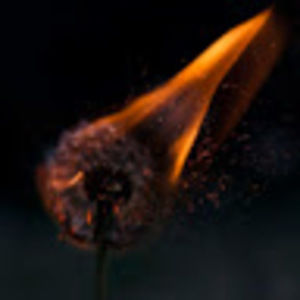 Meet your Posher, Leilas world